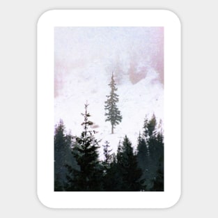 Lone Tree Sticker